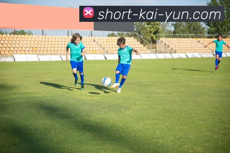 华体会官网网页版全站App